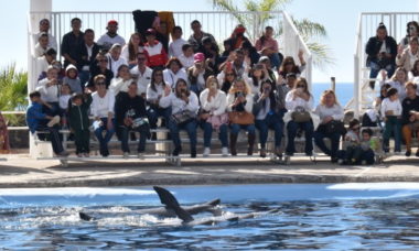 Conmemoran Dia Internacional De Las Personas Con Discapacidad En Delfinario Sonora