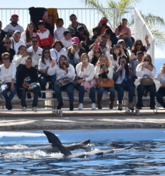 Conmemoran Dia Internacional De Las Personas Con Discapacidad En Delfinario Sonora