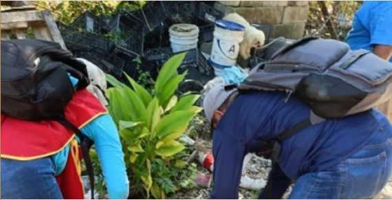 Screenshot 2023 10 13 At 12 04 14 Continuan Labores De Prevencion Contra El Dengue En Centro Portal Tabasco