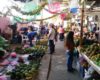 1 Tianguis