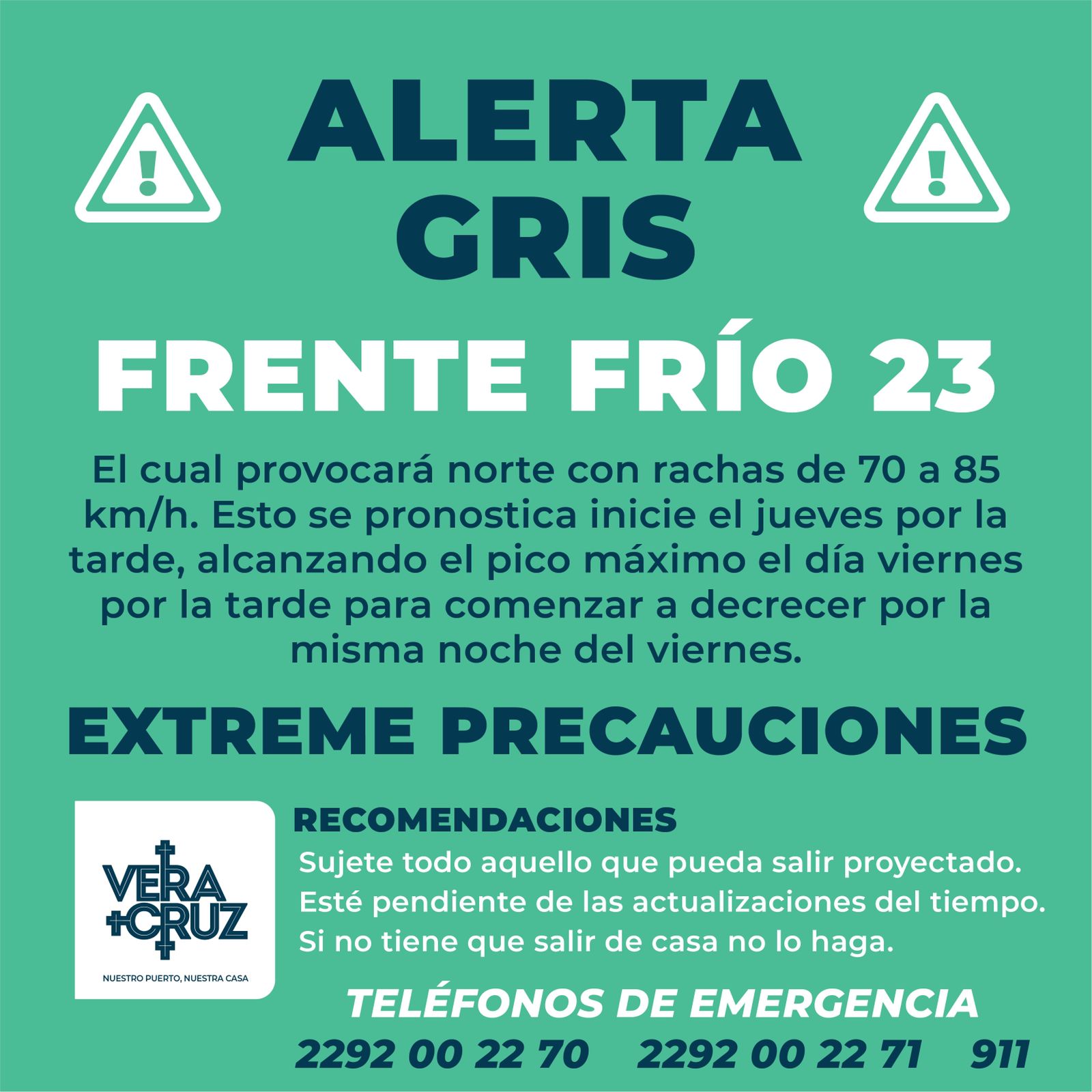 Alertagrisver20