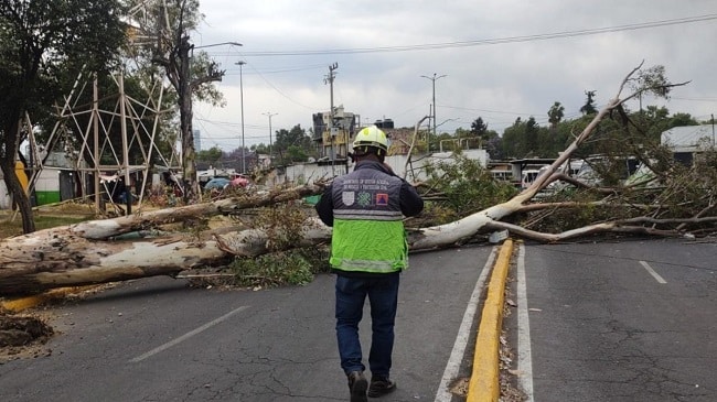 Pronostico Vientos Fuertes