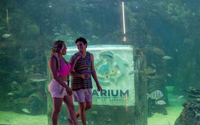 Wendy Guevara Y Emilio Osorio Aquarium De Veracruz