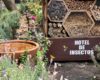 Hotel Insectos1 E1652117906238