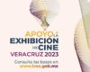 Utf8 Q Apoyo A Exhibicic393n De Cine86479