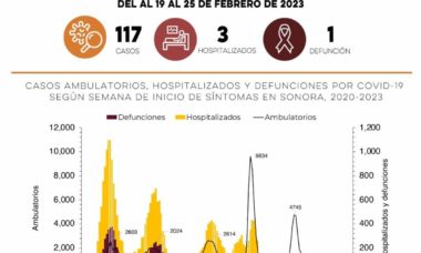 Informe Covid