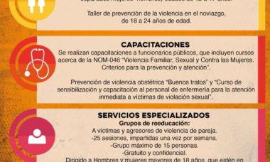 Servicios Del Pavif