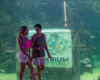 Wendy Guevara Y Emilio Osorio Aquarium De Veracruz