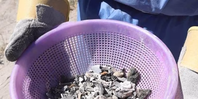 Authorities contradict findings of human remains in drug ranch