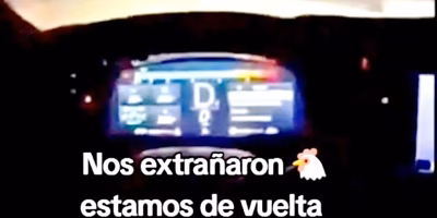 Authorities eliminate 200 organized crime accounts on networks