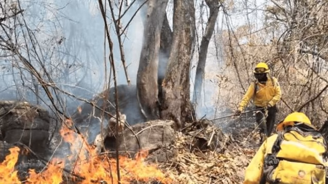 Conafor advierte sobre los riesgos de combatir incendios sin preparación