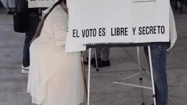 El INE advierte riesgos de la nueva CURP con fotografía