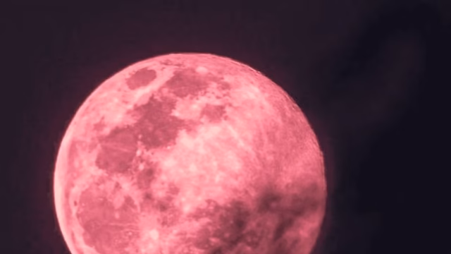 La Luna Rosa ilumina el cielo en un espectáculo astronómico único