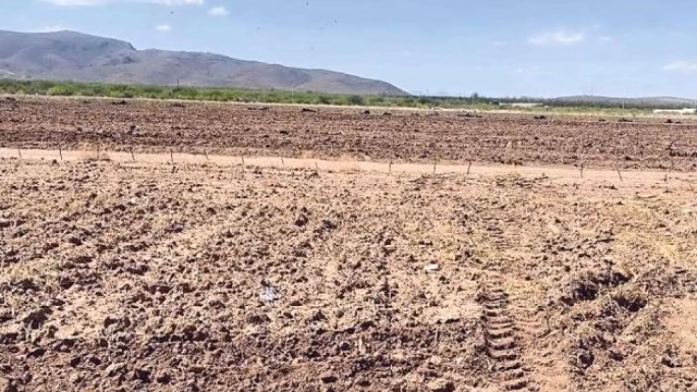 La sequía devora el campo mexicano mientras EU amenaza con bloqueo ganadero
