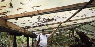El experimento que simula décadas de sequía en la Amazonía revela impactos críticos