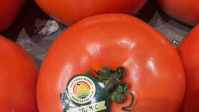 Estados Unidos impondrá arancel del 21% al tomate mexicano