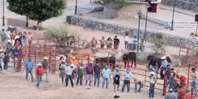 Fiscalía de Guanajuato investiga maltrato animal con pirotecnia en rodeo