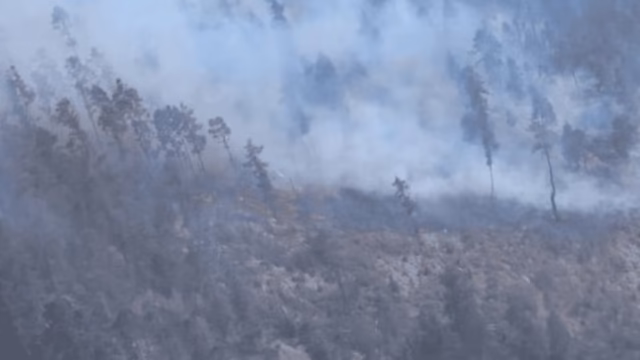 Puebla registers 190 forest fires with 9,000 hectares affected in 2025