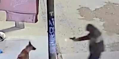 Agente ministerial preso por matar um cachorrinho em Ecatepec