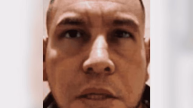 The CJNG and the dark case of the feminicide of Valeria Márquez