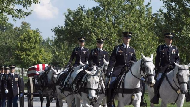 El Ejército de EE UU reduce el uso de caballos en ceremonias