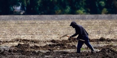 EUA otimizam vistos H-2A para trabalhadores agrícolas mexicanos