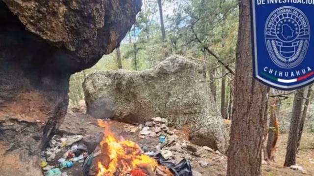 Fuerzas de seguridad destruyen campamento criminal en el Cerro de la Bufa