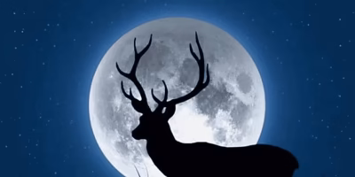 The Deer Moon and its connection with natural cycles