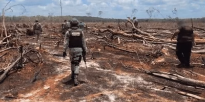 Profepa documenta 200 casos de degradación ambiental en Yucatán durante 2025