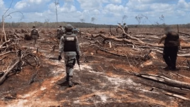 Profepa documenta 200 casos de degradación ambiental en Yucatán durante 2025