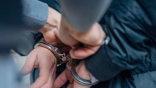 Authorities capture 53 foreigners linked to organized crime in Michoacán