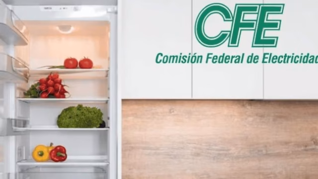 CFE ofrece financiamiento para electrodomésticos de alta eficiencia