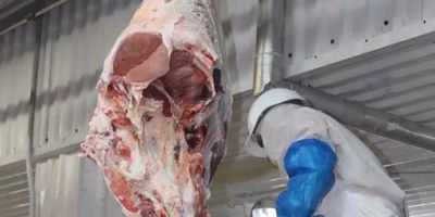 La carne alcanza precios históricos mientras las verduras dan tregua