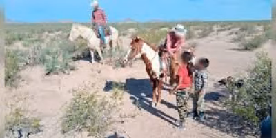 Lost brothers rescued in the mountains of Chihuahua after intense search