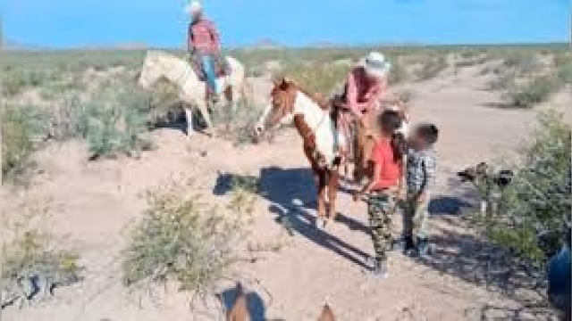 Rescatan a hermanos perdidos en la sierra de Chihuahua tras intensa búsqueda