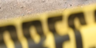 Finding of 16 human remains in Guanajuato graves