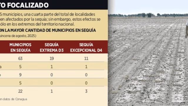 La sequía devasta la producción de granos básicos en el norte de México