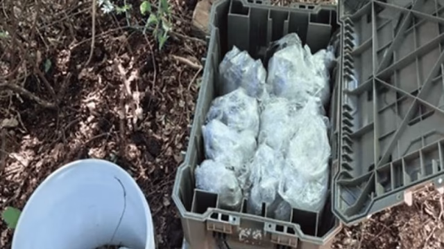 Army neutralizes artisanal arsenal of 100 explosives in Sinaloa