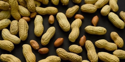 Early introduction of peanuts reduces childhood allergies