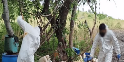 Security operations seize drugs and weapons in six states