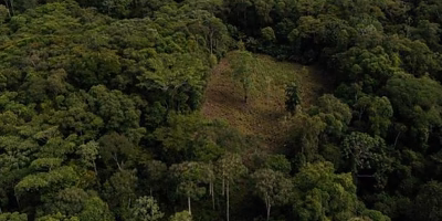 Colombia deploys drones in its war against coca crops