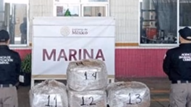 La Marina descubre 96 kilos de alucinógenos en un envío de “mimosa seca”