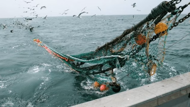 La pesca de arrastre desgarra el corazón de los océanos