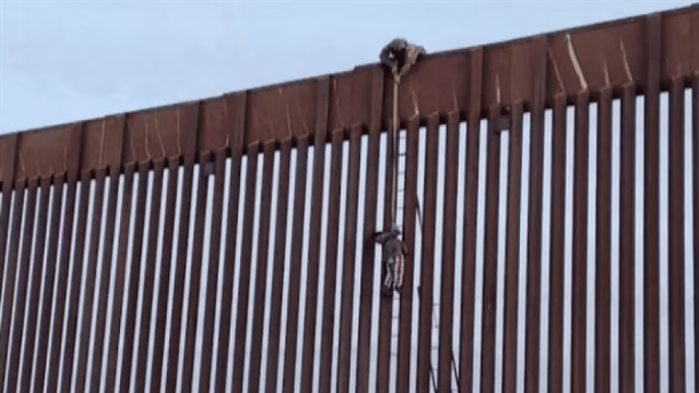 Más de 400 heridos graves al intentar escalar el muro fronterizo en 2025