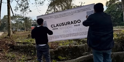 Clausura Ayuntamiento de Coatepec predio en Mundo Nuevo por tala ilegal de arbolado