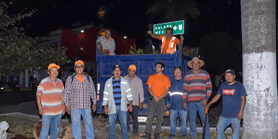 Realizan trabajos de mantenimiento y conservación del arbolado en el Parque Revolución