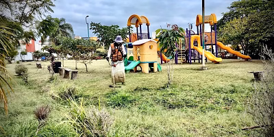 Xalapa City Council reinforces maintenance and cleaning of green areas in the city