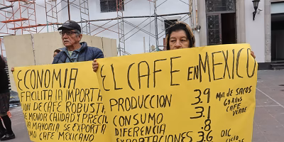 Cafetaleros denuncian castigo al precio del café y aumento de importaciones de robusta
