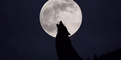 The Super Lobo Moon will illuminate the beginning of 2026