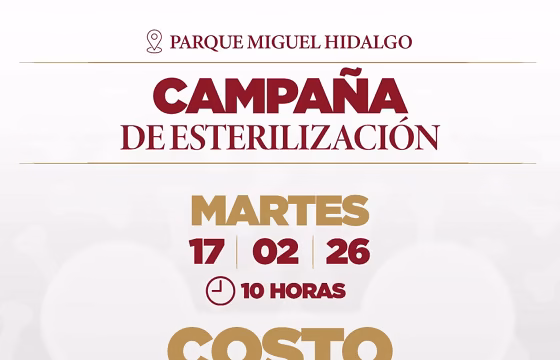 Anuncian campaña de esterilización a bajo costo para fomentar el bienestar animal